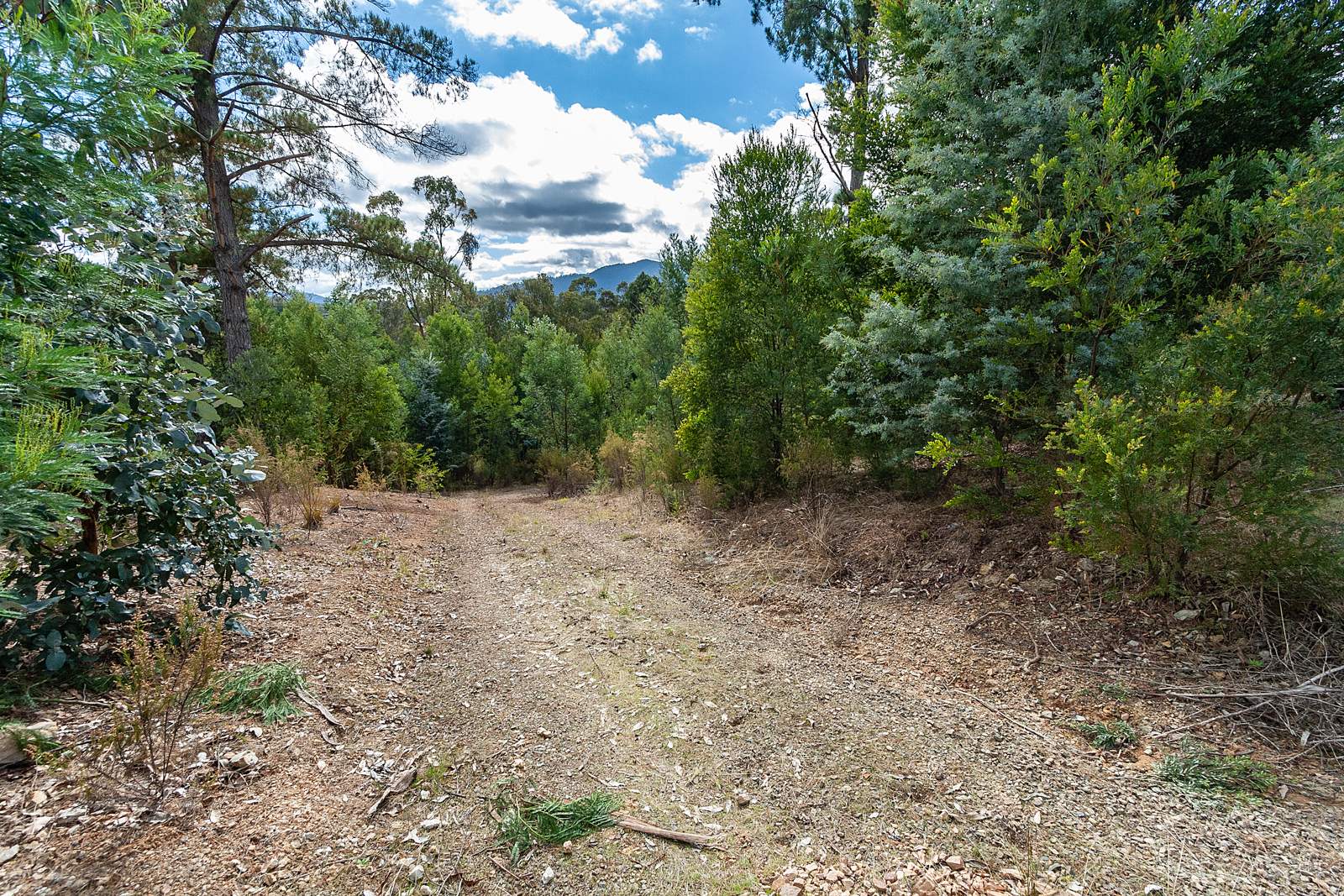 158 Taylor Bay Right Arm Road, Taylor Bay For Sale by Farmbuy.com - image 13
