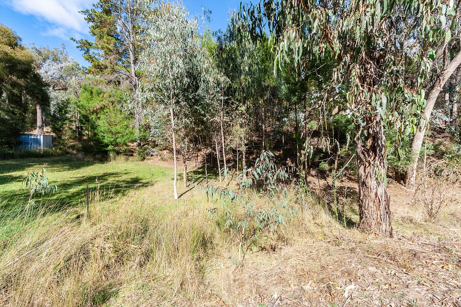 158 Taylor Bay Right Arm Road, Taylor Bay For Sale by Farmbuy.com - image 8