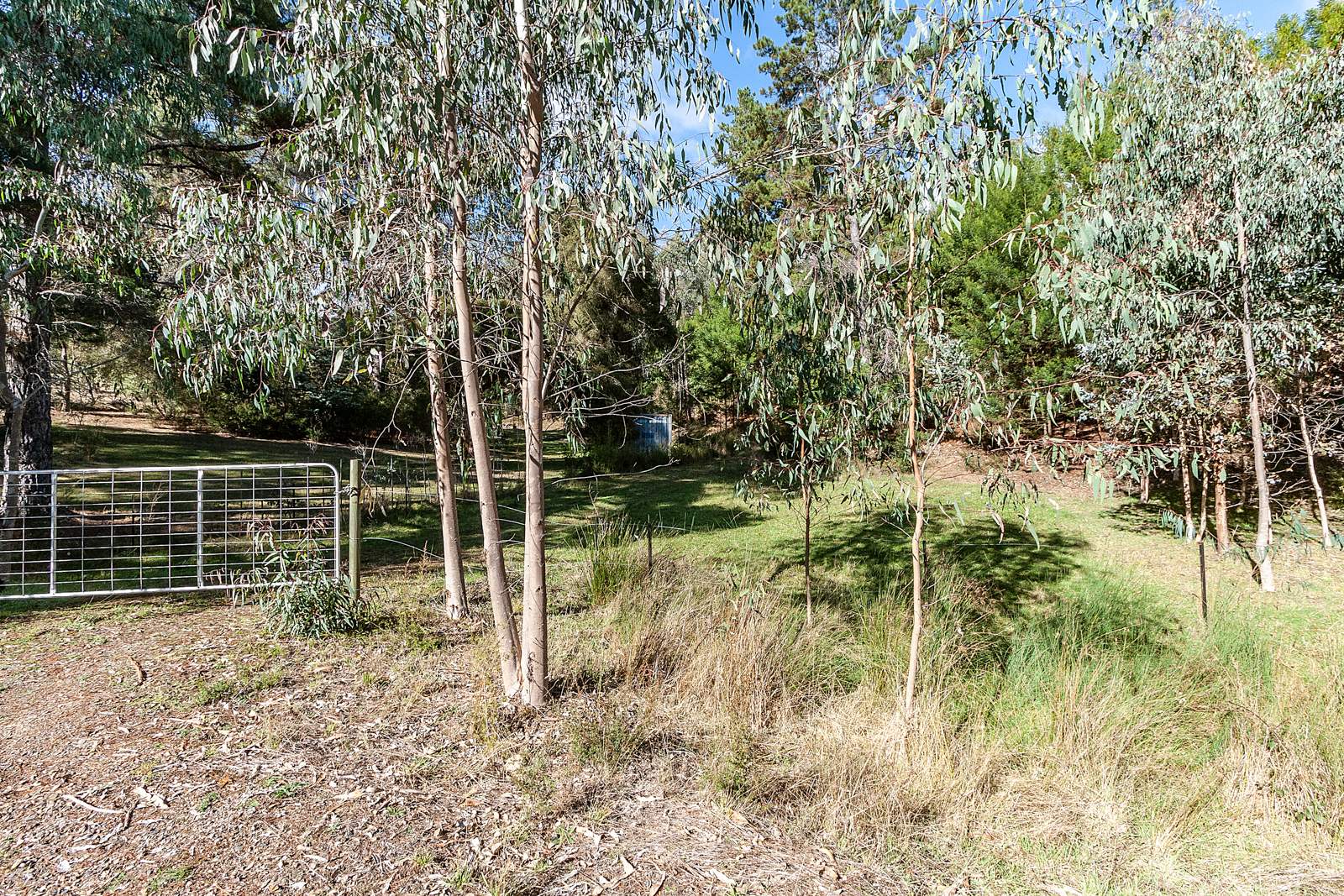 158 Taylor Bay Right Arm Road, Taylor Bay For Sale by Farmbuy.com - image 9