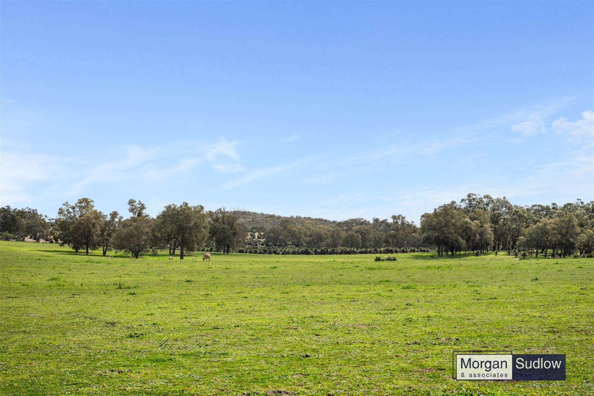 2079 Cowalla Road, Cowalla For Sale by Farmbuy.com - image 22