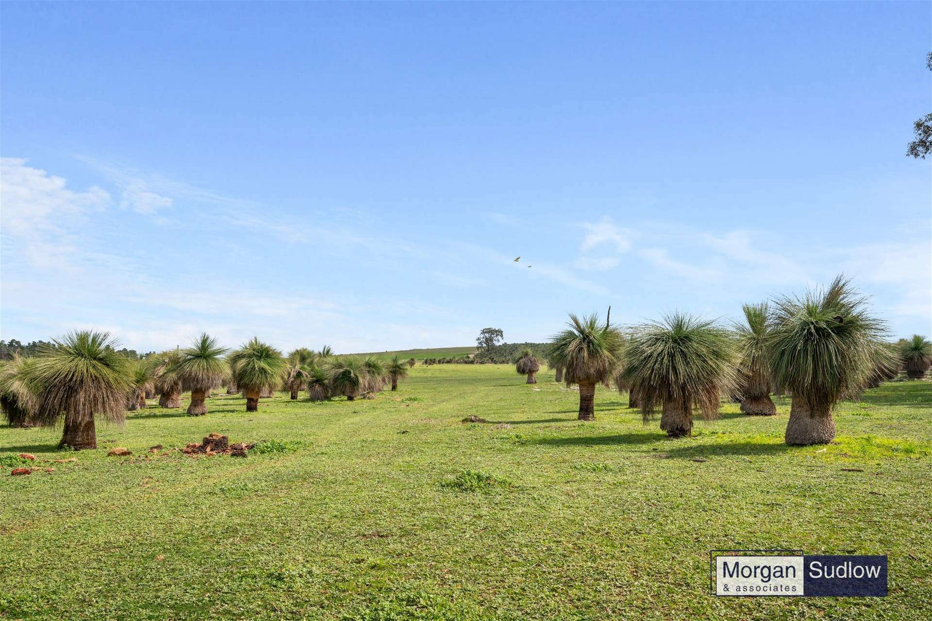 2079 Cowalla Road, Cowalla For Sale by Farmbuy.com - image 21