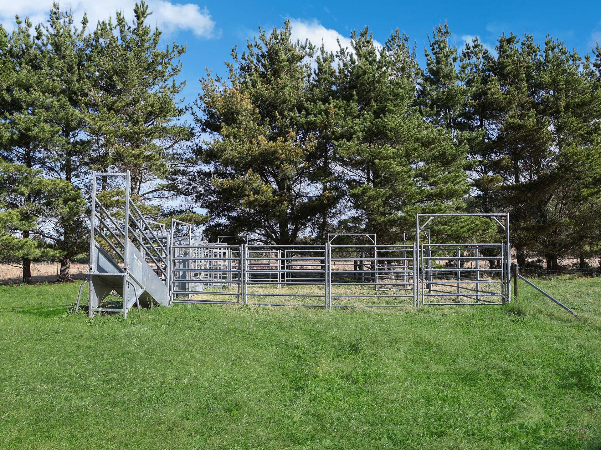 Brayton Sold by Farmbuy.com - image 21