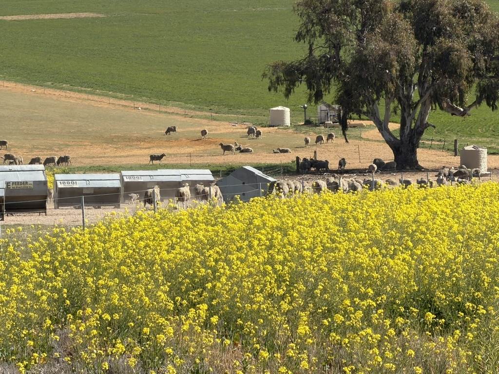 Quairading South Road, Dangin WA 6383