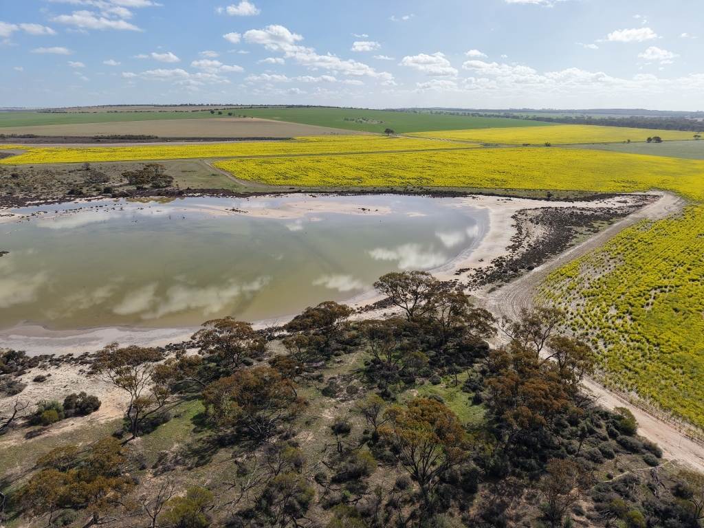Quairading South Road, Dangin For Sale by Farmbuy.com - image 27