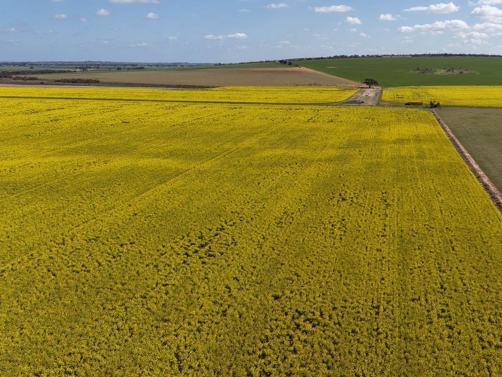 Quairading South Road, Dangin For Sale by Farmbuy.com - image 33