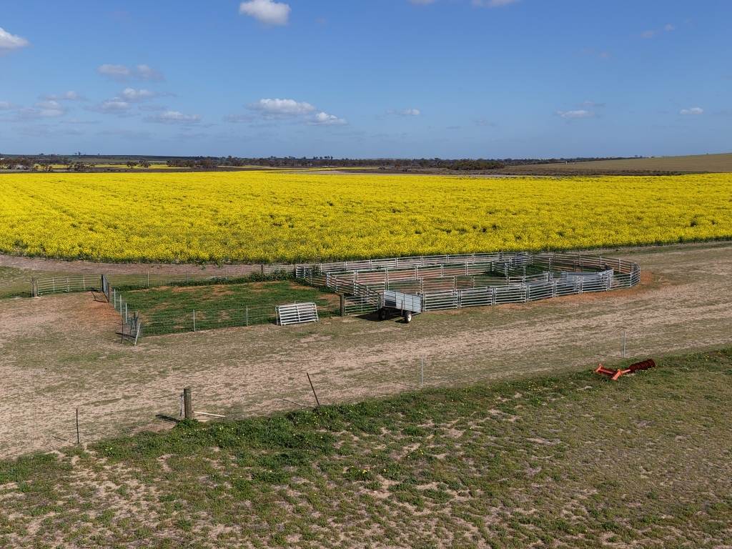 Quairading South Road, Dangin For Sale by Farmbuy.com - image 29