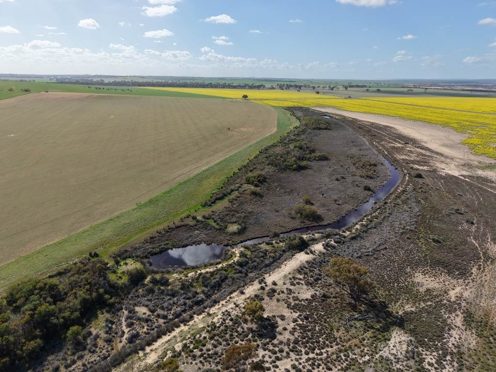 Quairading South Road, Dangin For Sale by Farmbuy.com - image 28