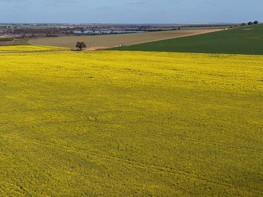 Quairading South Road, Dangin WA 6383