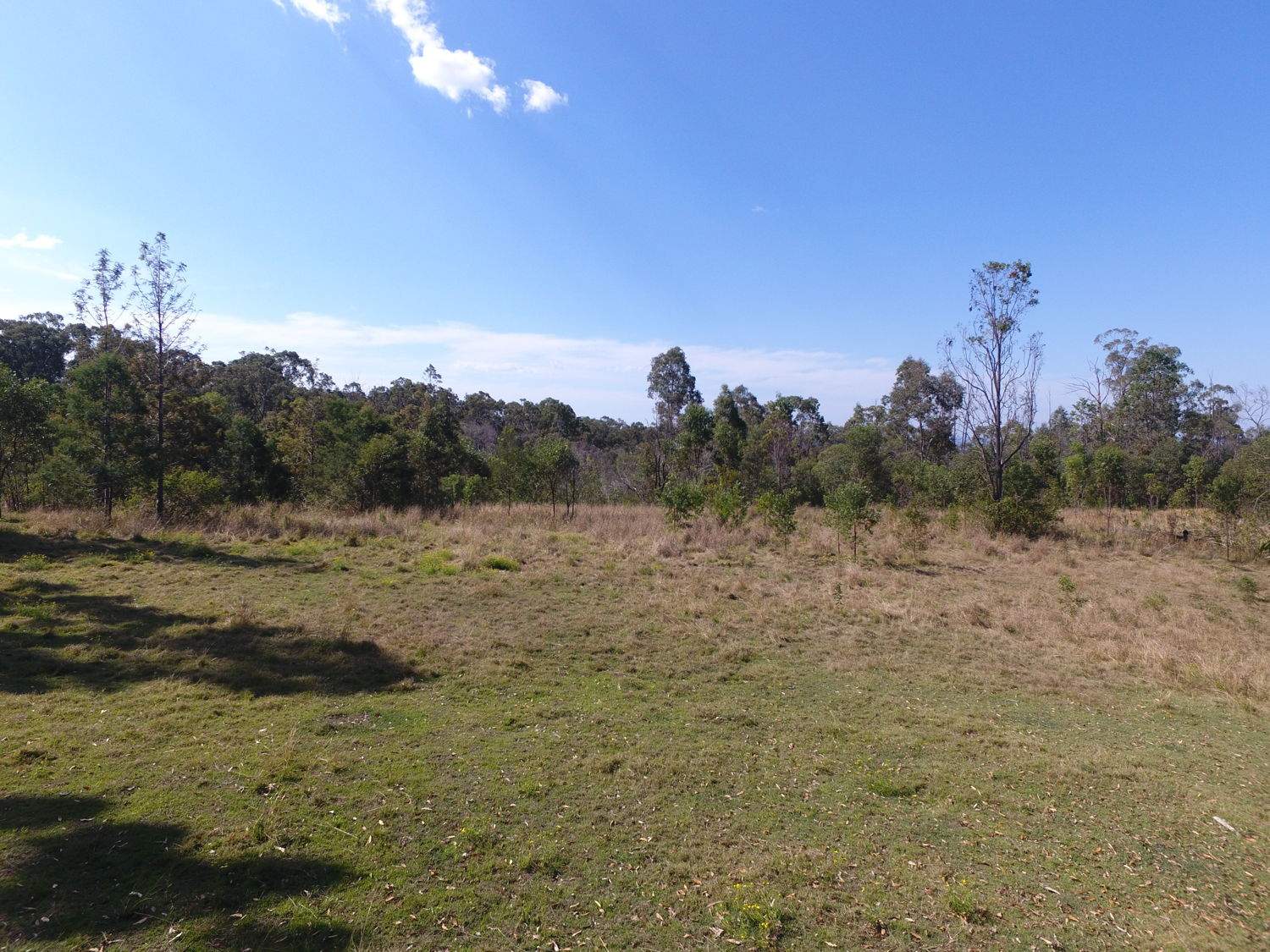 139 Leslie Creek Road, Drake Sold by Farmbuy.com - image 3