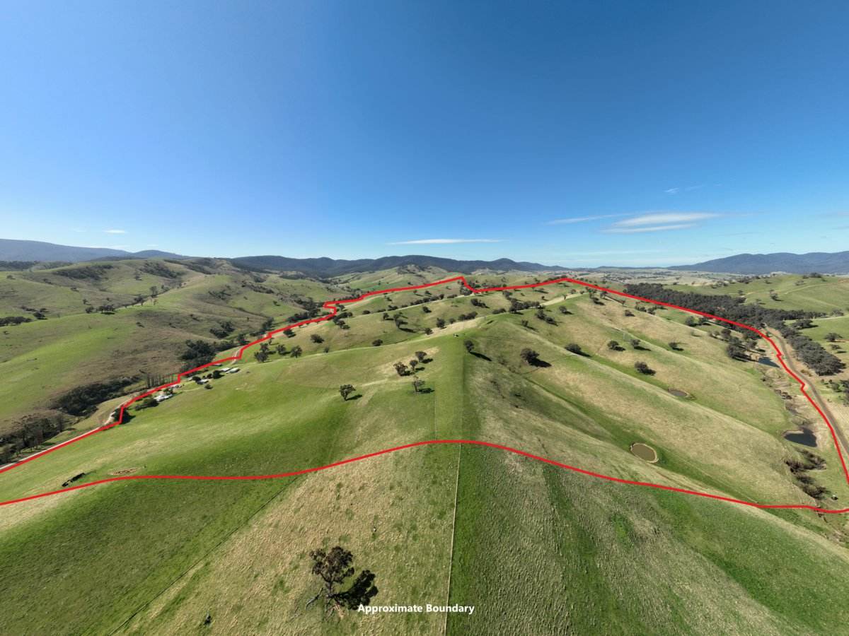198 Watts Creek Road, Ensay For Sale by Farmbuy.com - image 2