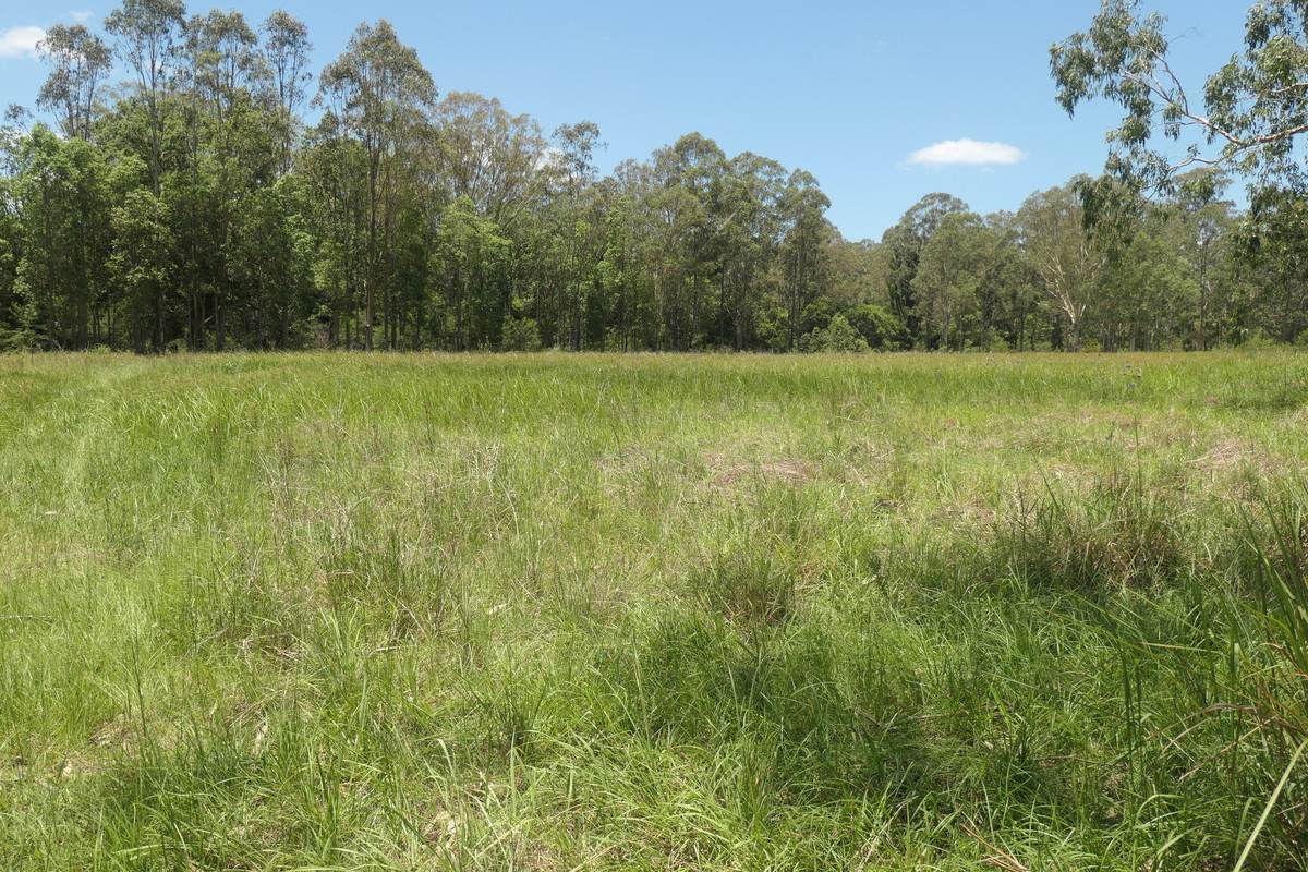 7888 Bruxner Highway, Tabulam Sold by Farmbuy.com - image 10