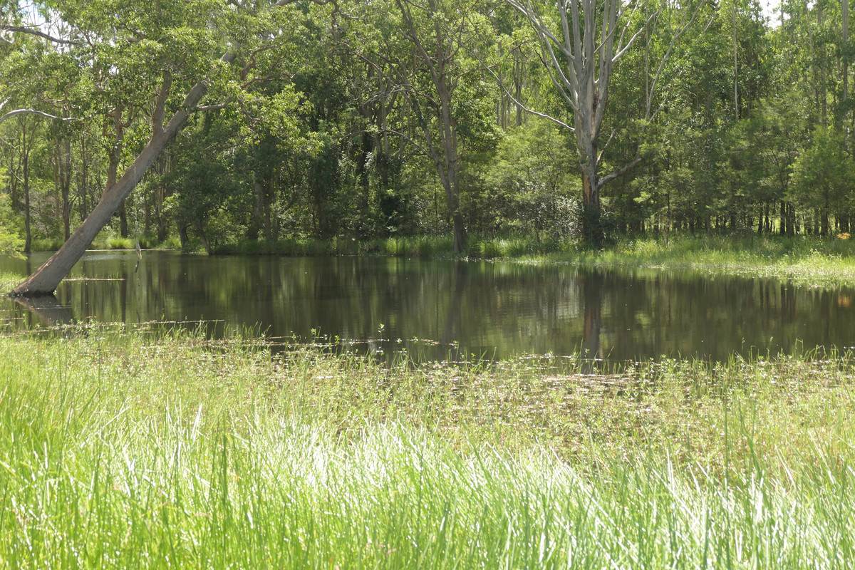 7888 Bruxner Highway, Tabulam Sold by Farmbuy.com - image 30