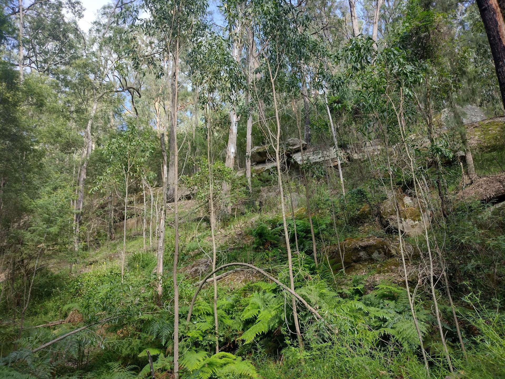 75 L3 Private Access, Laguna For Sale by Farmbuy.com - image 30
