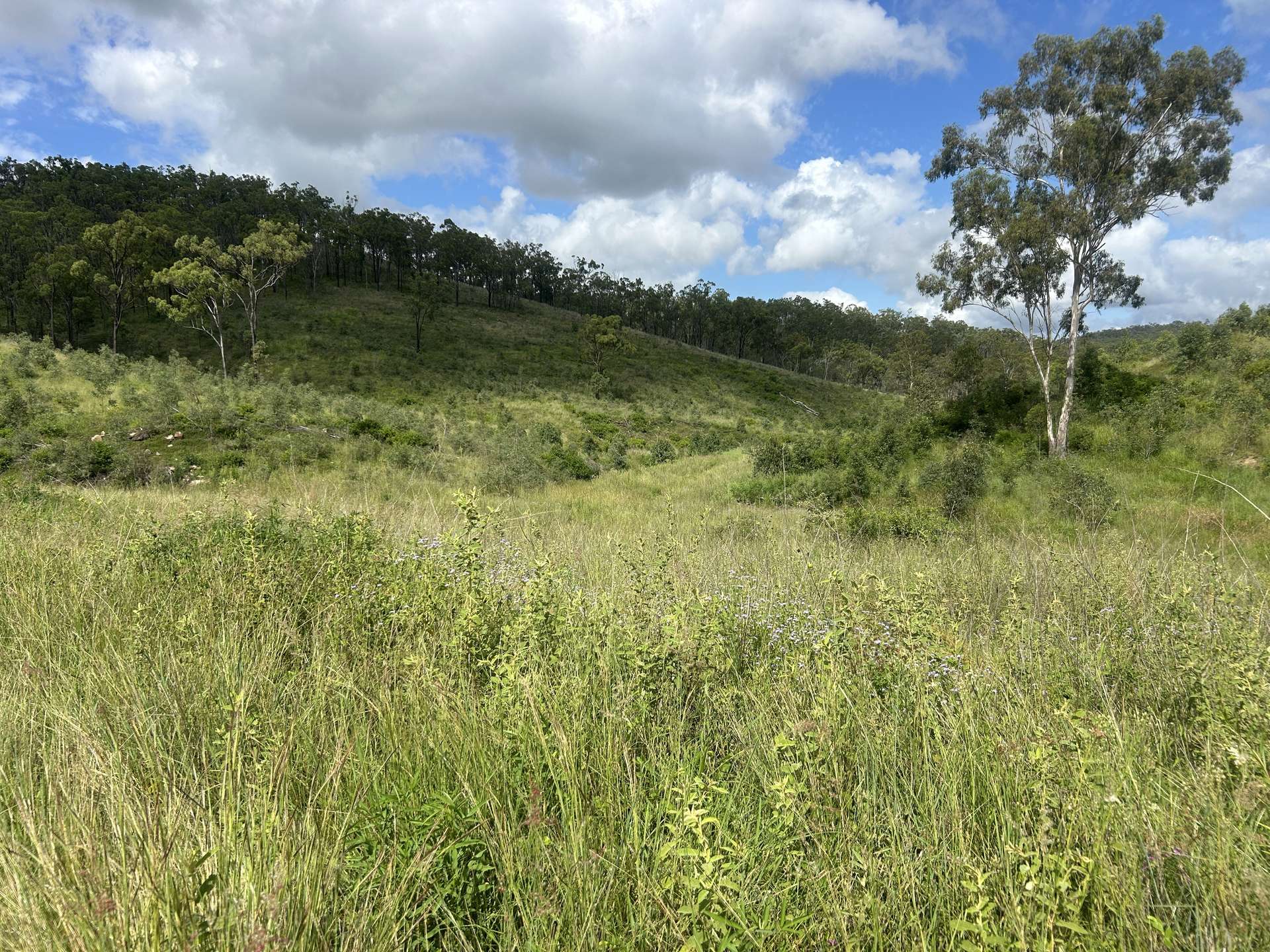 789 Coppin Rd, Monto For Sale by Farmbuy.com - image 2