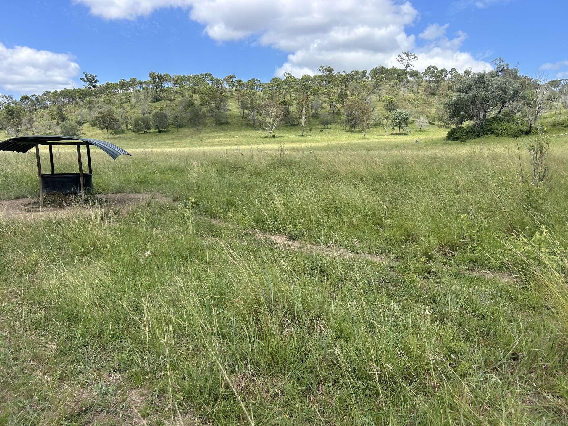 789 Coppin Rd, Monto For Sale by Farmbuy.com - image 10