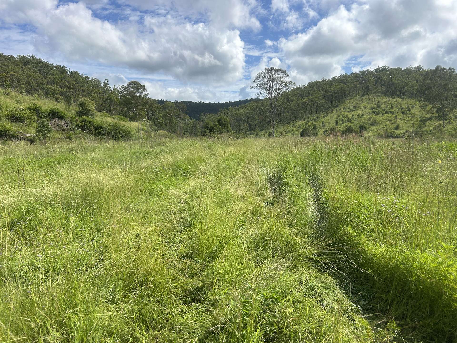 789 Coppin Rd, Monto For Sale by Farmbuy.com - image 4