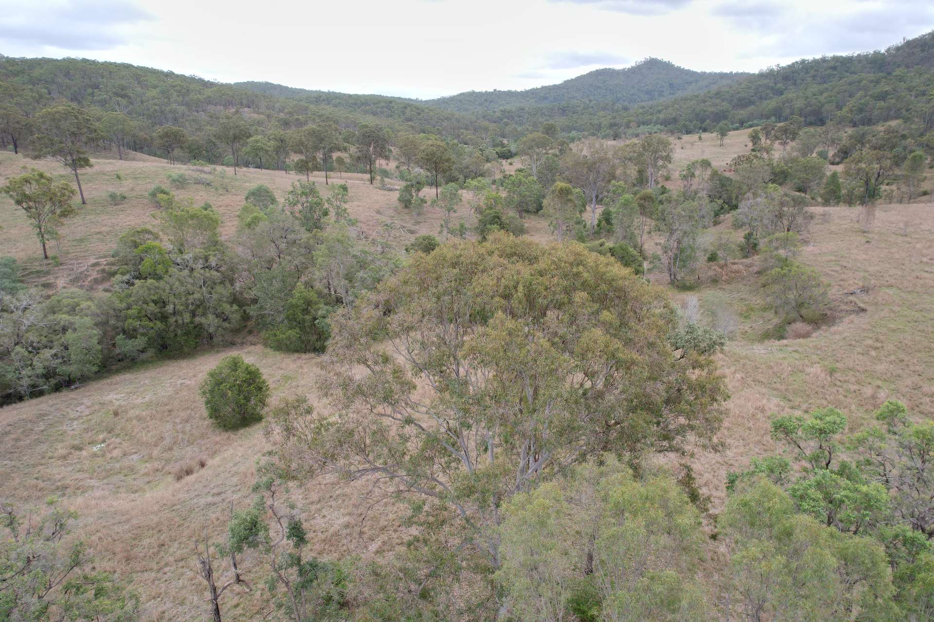 789 Coppin Rd, Monto For Sale by Farmbuy.com - image 28