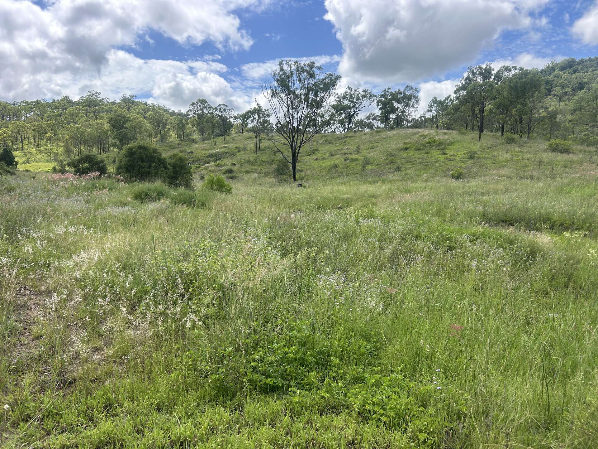 789 Coppin Rd, Monto For Sale by Farmbuy.com - image 7