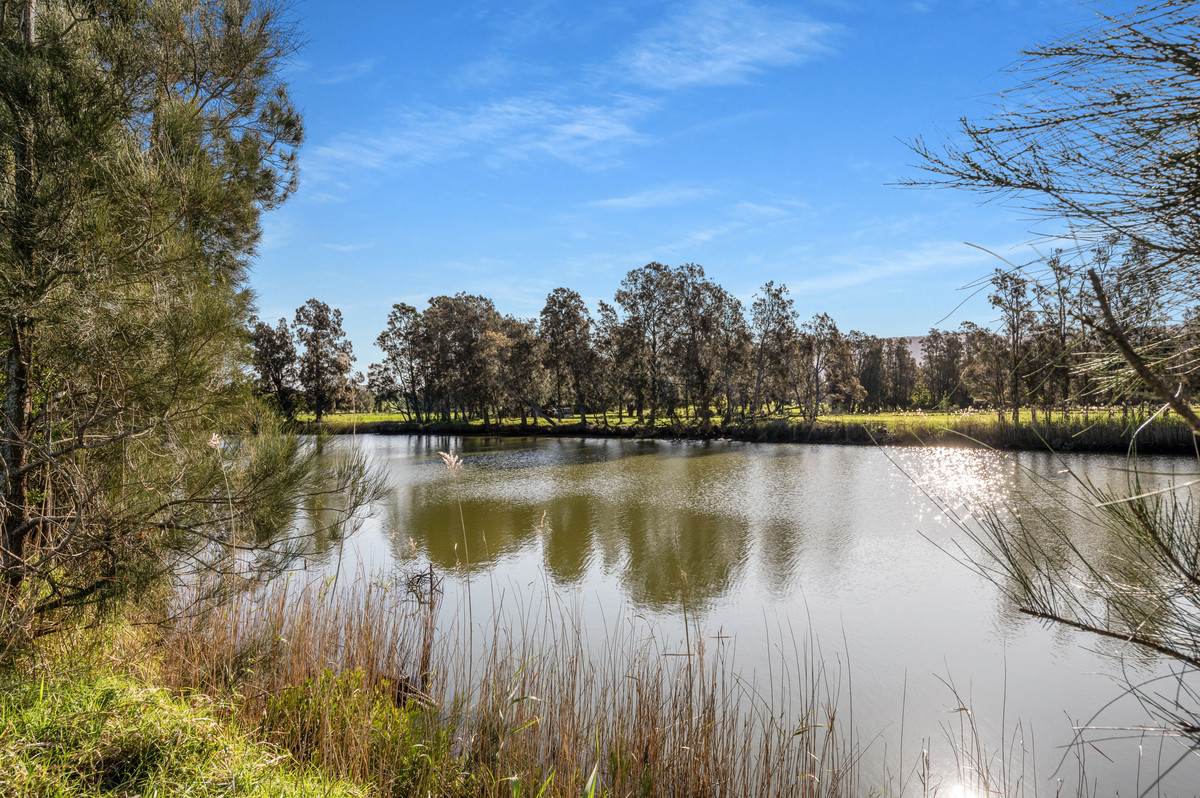 591 Coolangatta Road, Berry For Sale by Farmbuy.com - image 5