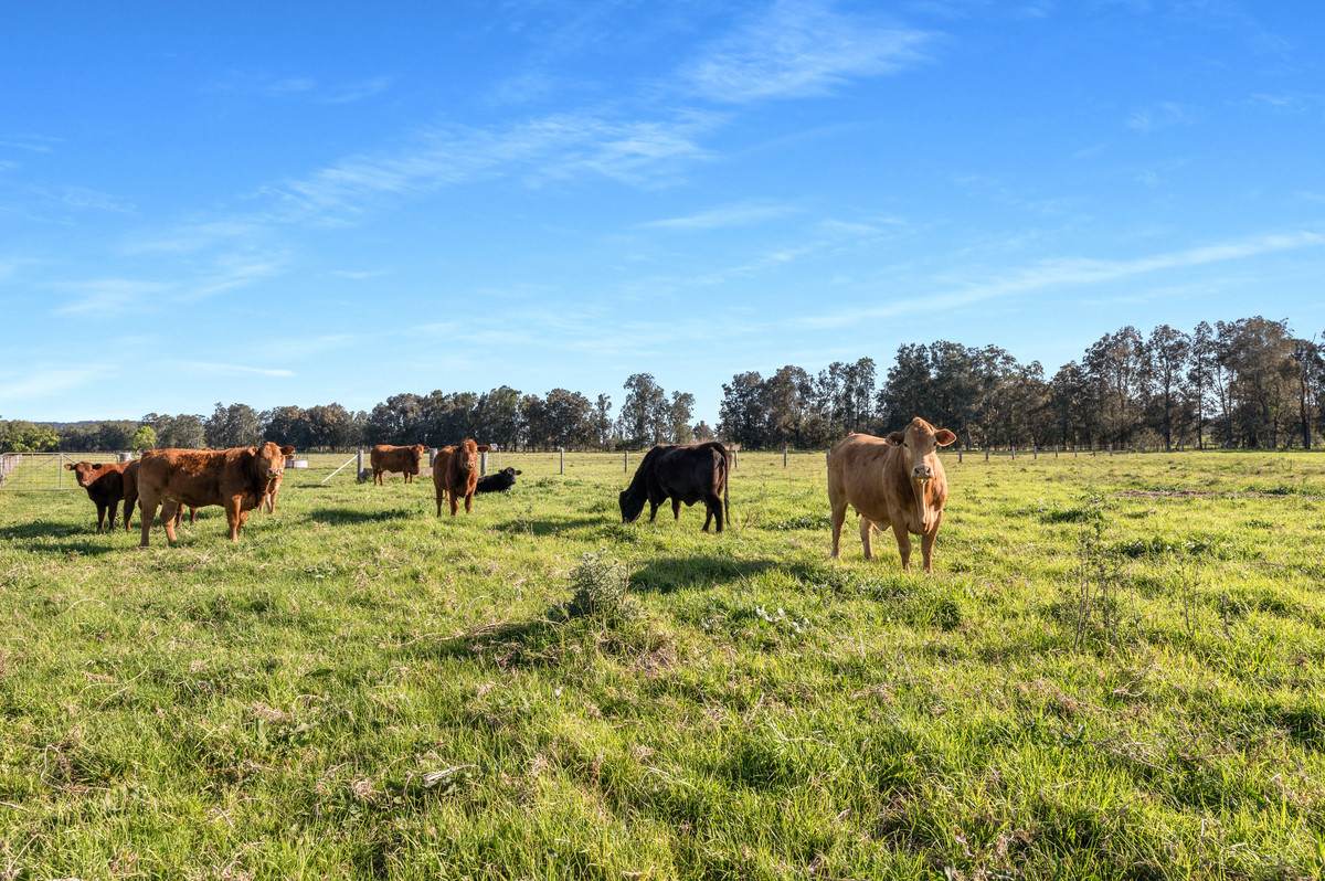 591 Coolangatta Road, Berry For Sale by Farmbuy.com - image 2