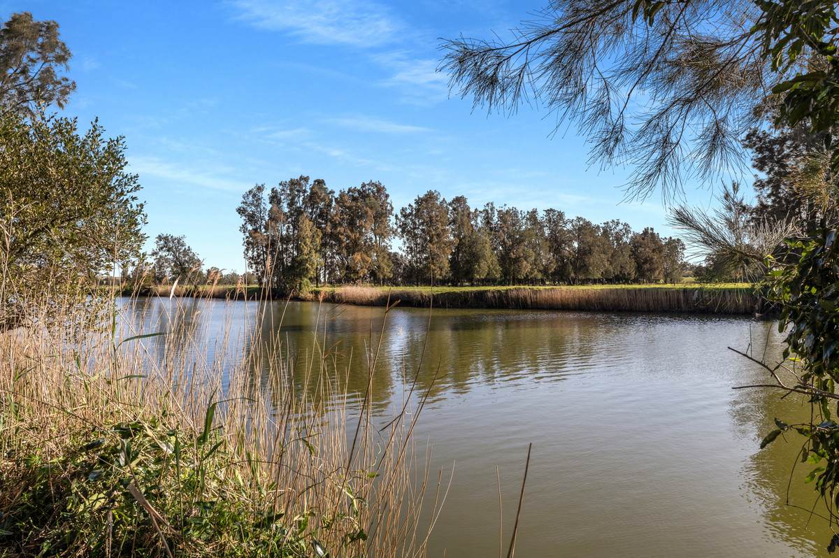 591 Coolangatta Road, Berry For Sale by Farmbuy.com - image 6