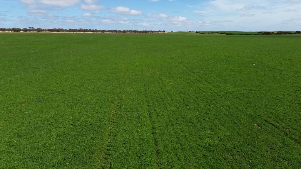 Lot 2 Palabie Road, Wudinna SA 5652