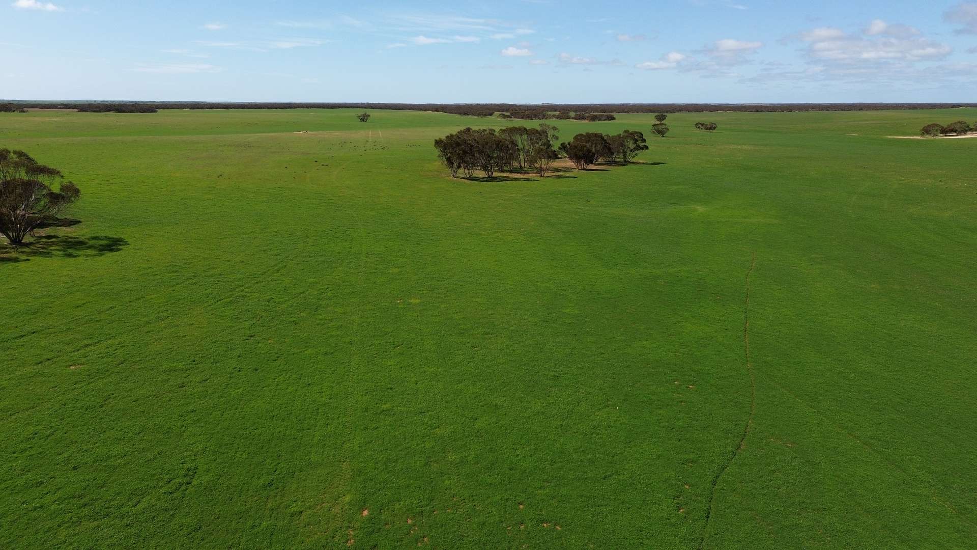 Lot 2 Palabie Road, Wudinna For Sale by Farmbuy.com - image 8
