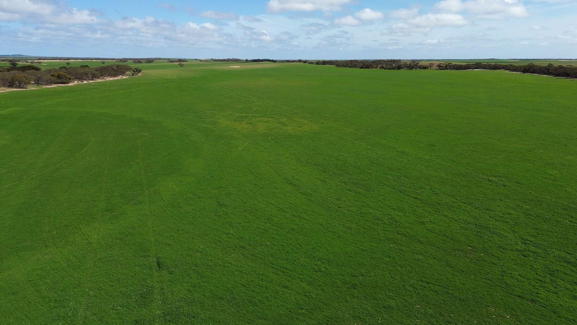 Lot 2 Palabie Road, Wudinna For Sale by Farmbuy.com - image 3