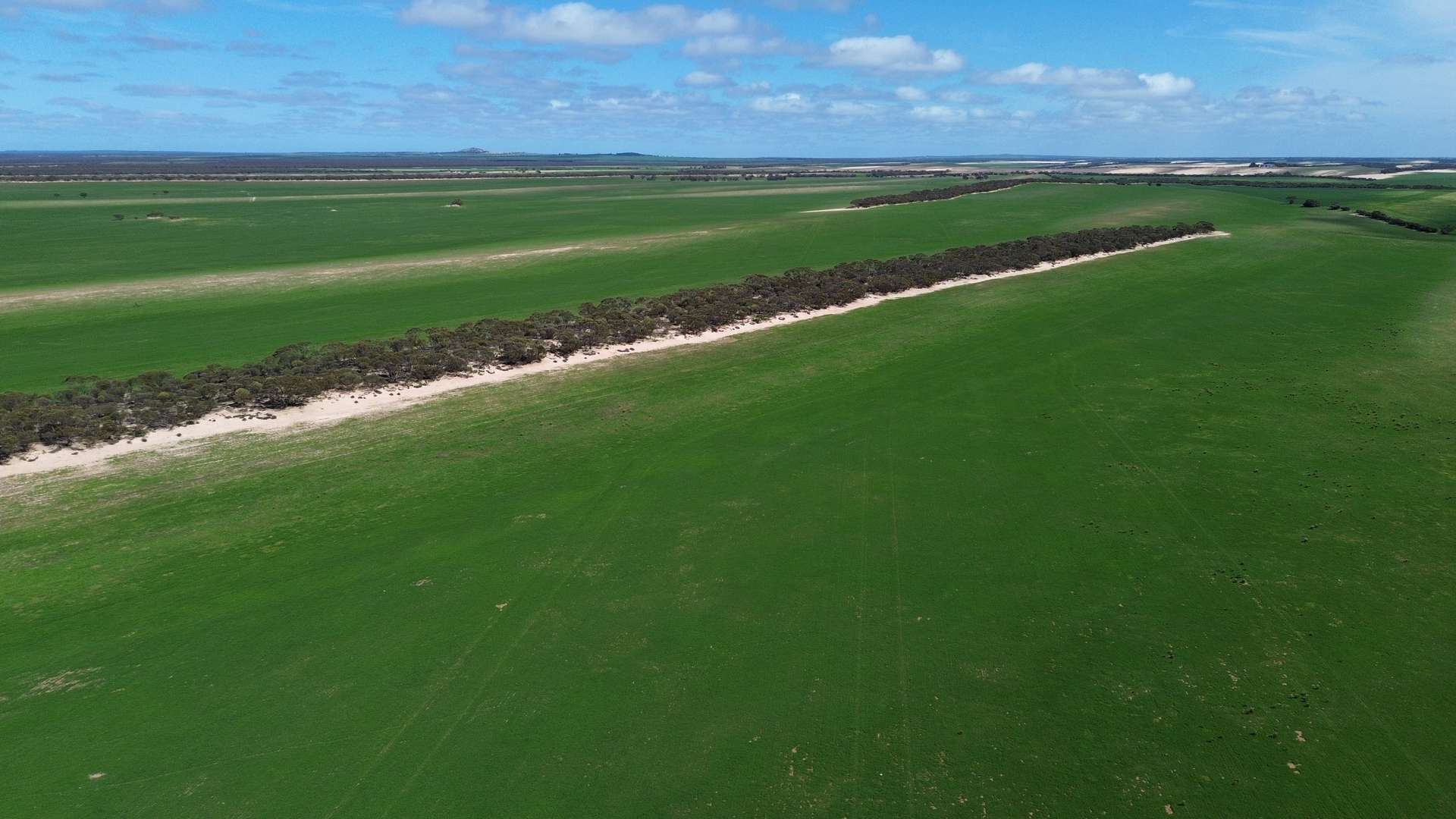 Lot 2 Palabie Road, Wudinna For Sale by Farmbuy.com - image 13