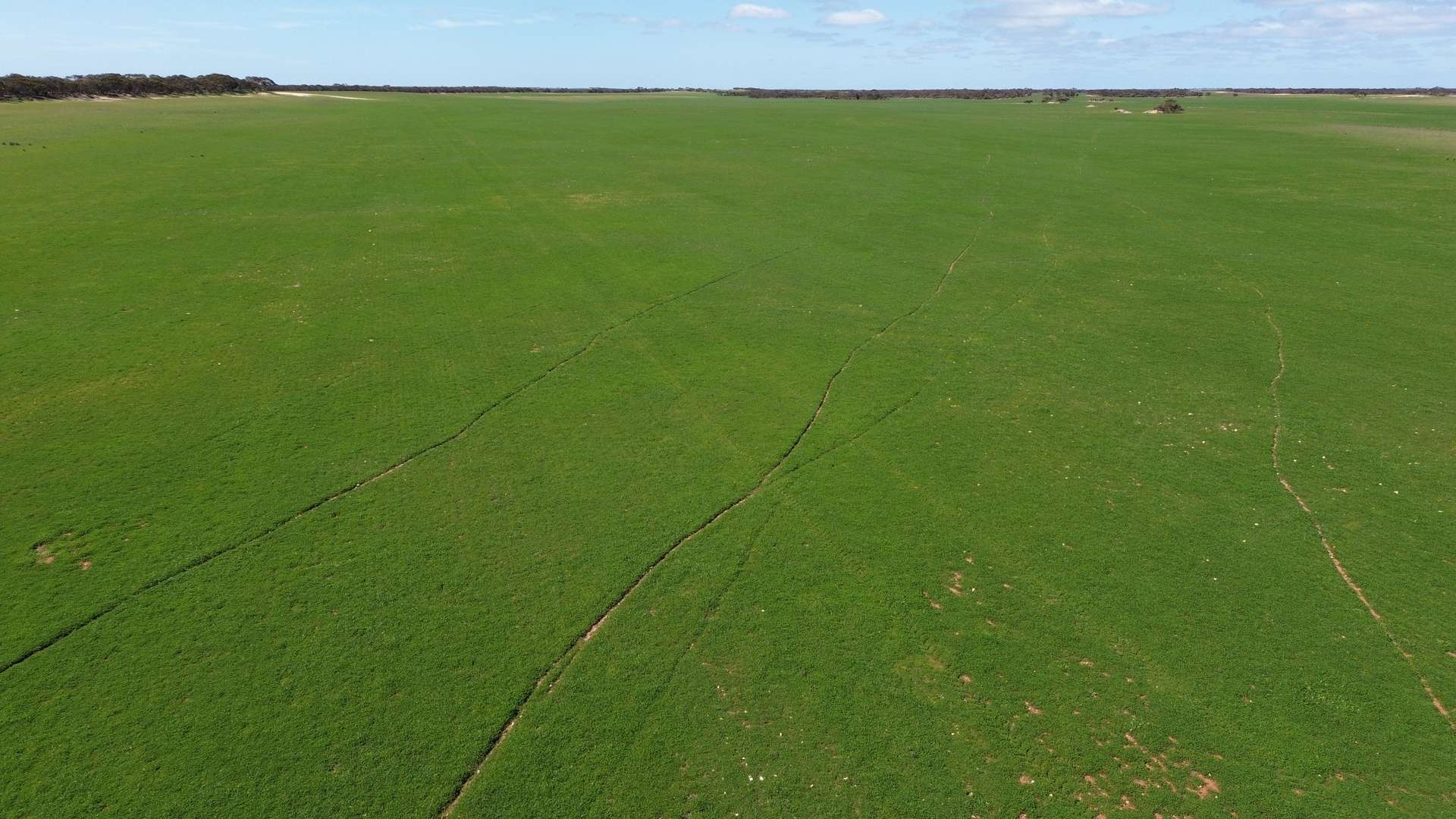 Lot 2 Palabie Road, Wudinna For Sale by Farmbuy.com - image 10