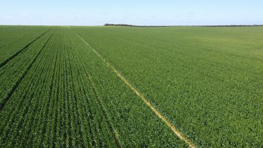 Lot 2 Palabie Road, Wudinna SA 5652