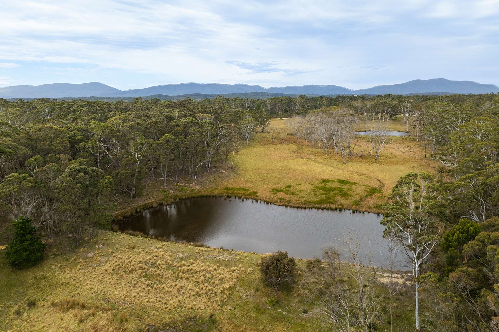 107 Webbs Road, Braidwood Sold by Farmbuy.com - image 6