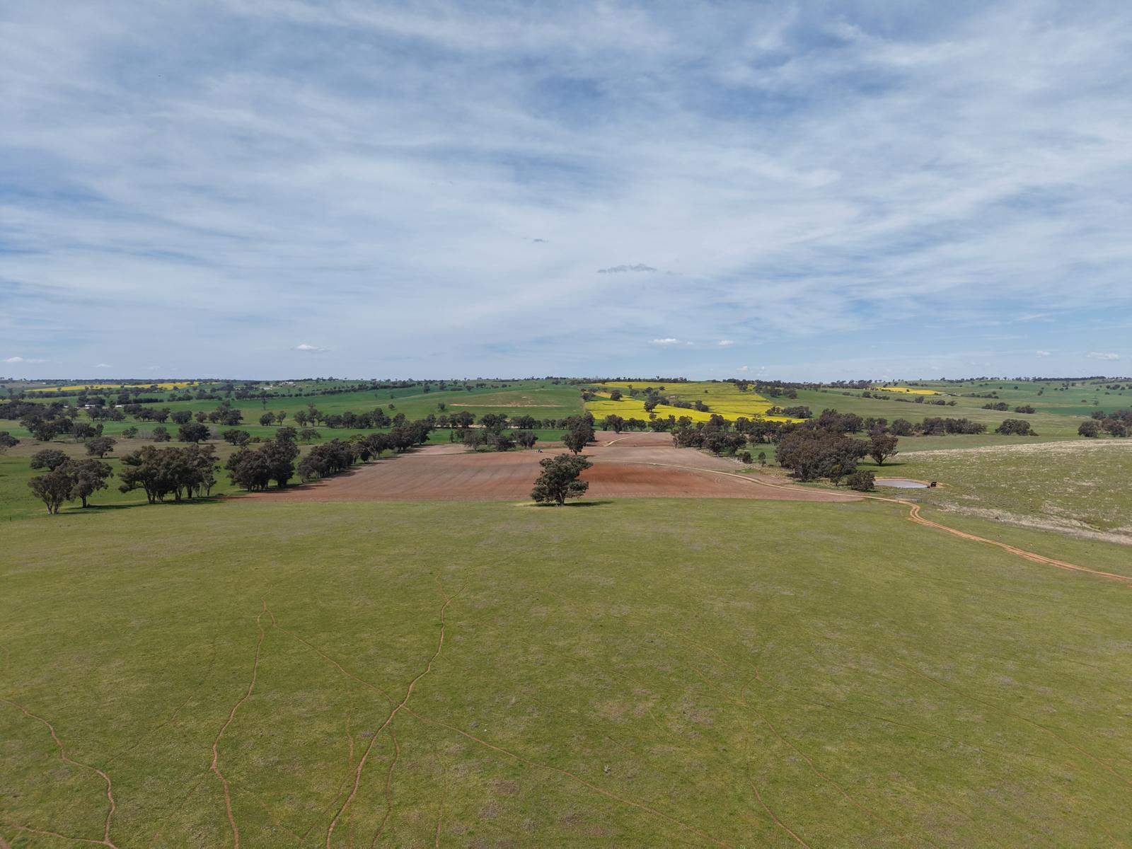 Bumbaldry Road, Greenethorpe For Sale by Farmbuy.com - image 30
