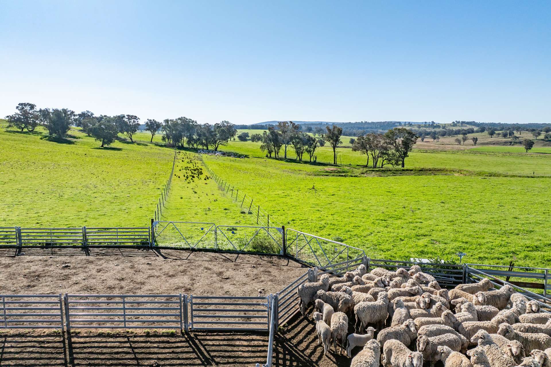 Bumbaldry Road, Greenethorpe For Sale by Farmbuy.com - image 19