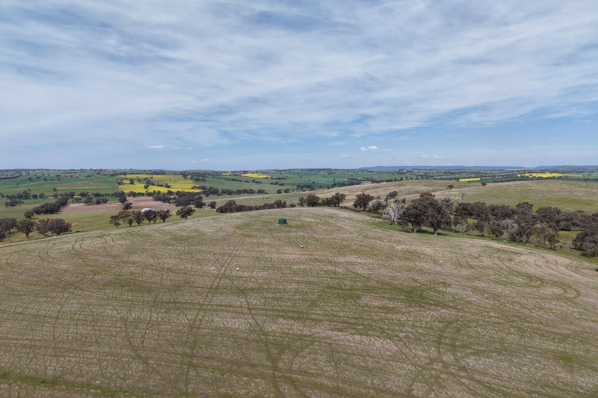 Bumbaldry Road, Greenethorpe For Sale by Farmbuy.com - image 31
