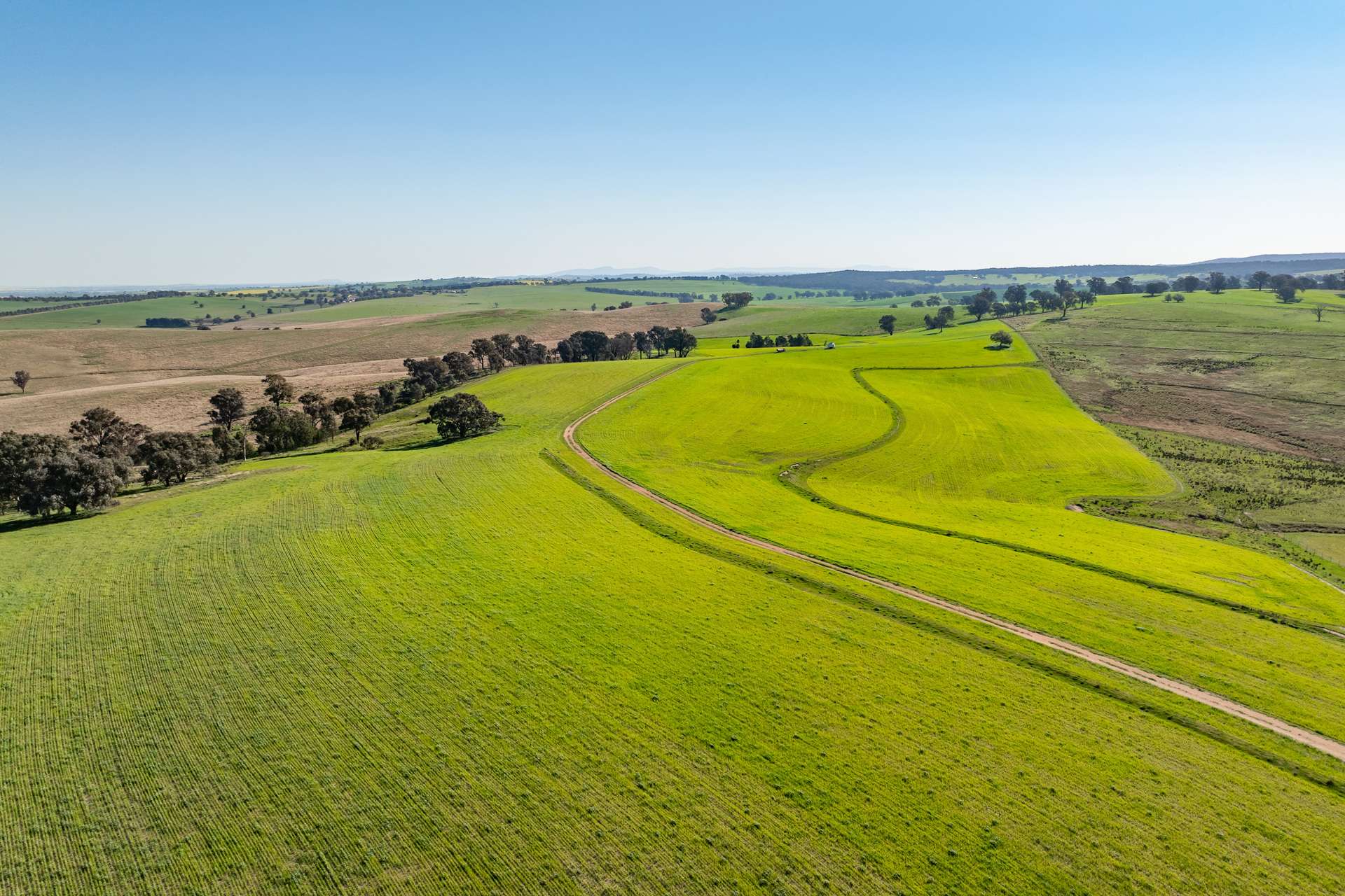 Bumbaldry Road, Greenethorpe For Sale by Farmbuy.com - image 25