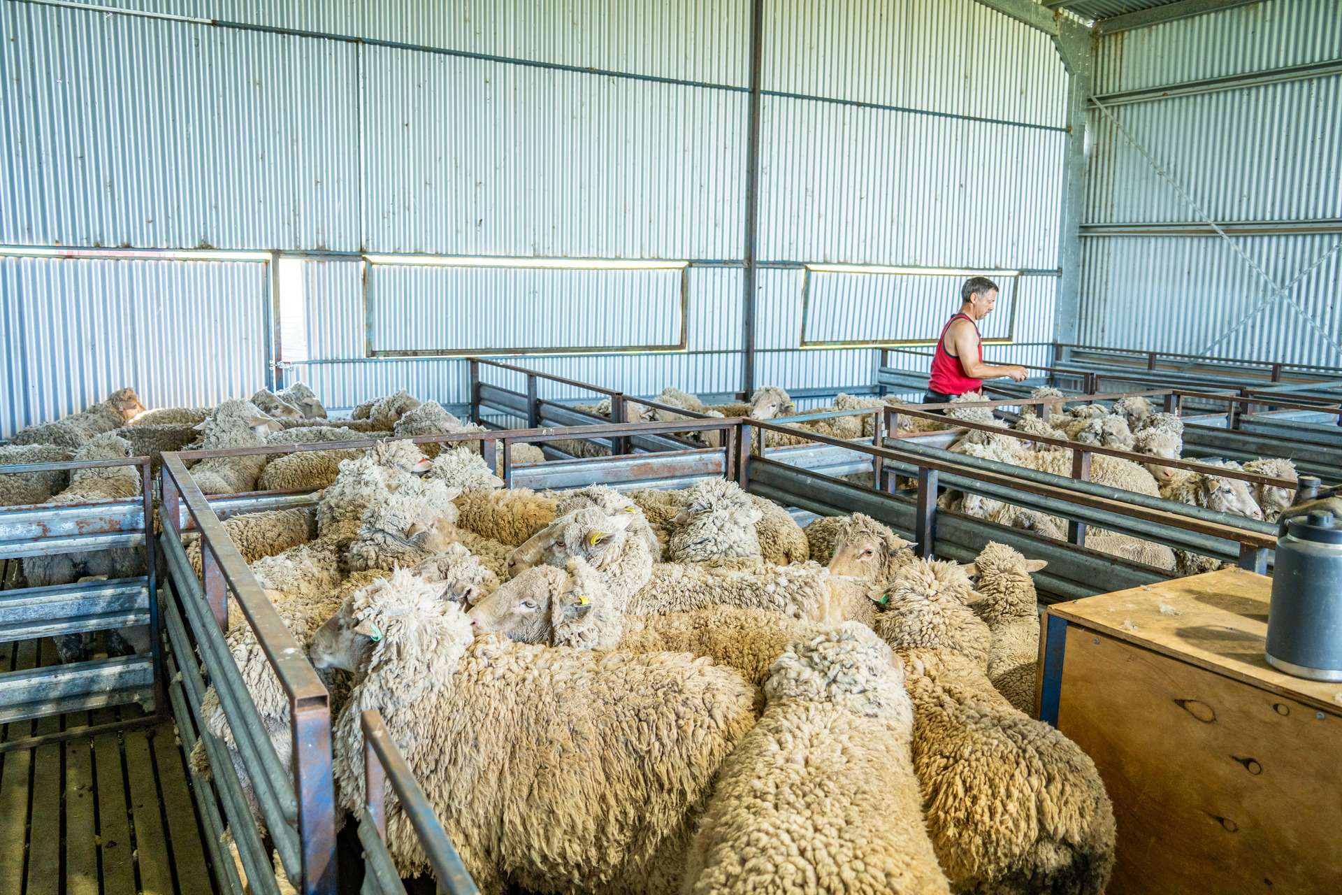 Bumbaldry Road, Greenethorpe For Sale by Farmbuy.com - image 13
