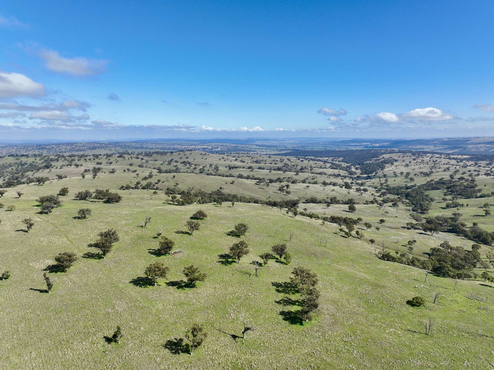 "Jemalong" 263 Collier Road, Coolah For Sale by Farmbuy.com - image 33