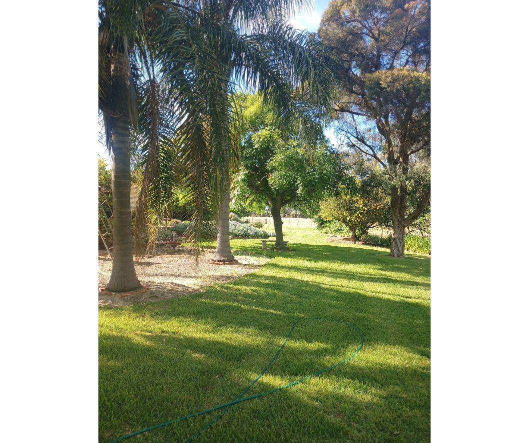 511 Walbundrie Road, Culcairn Sold by Farmbuy.com - image 4