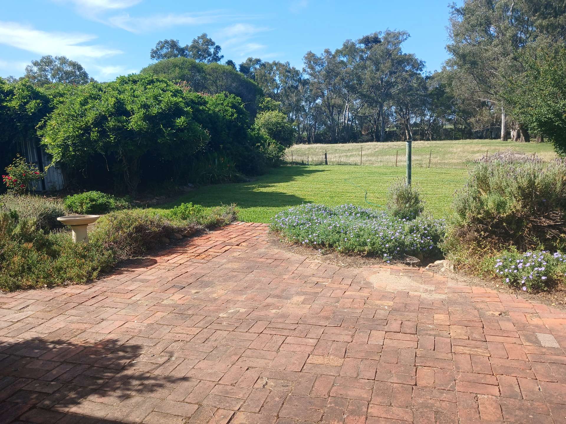 511 Walbundrie Road, Culcairn Sold by Farmbuy.com - image 24