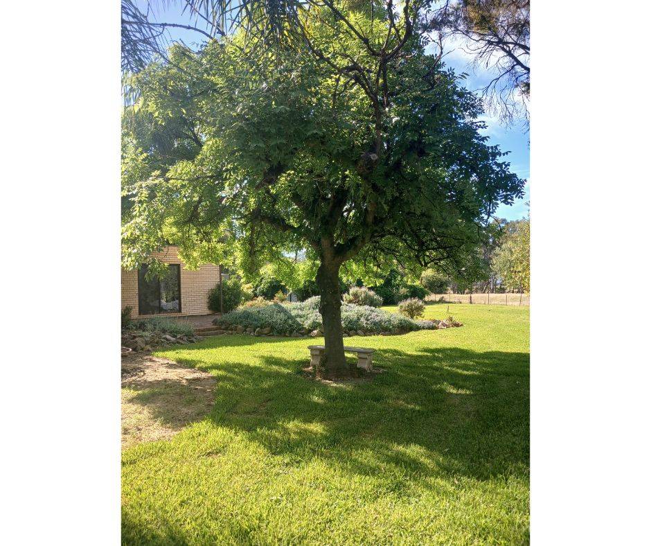 511 Walbundrie Road, Culcairn Sold by Farmbuy.com - image 25