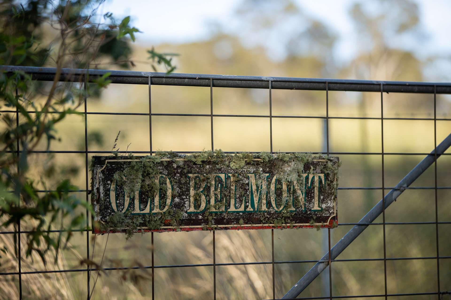 196 Toms Gully Road, Black Mountain Sold by Farmbuy.com - image 20