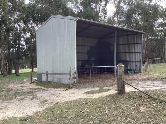236 Morrisons Lane, Korobeit For Sale by Farmbuy.com - image 3
