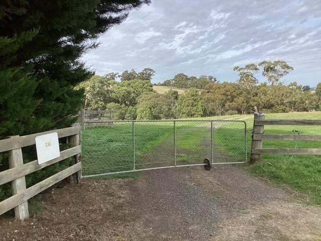 236 Morrisons Lane, Korobeit For Sale by Farmbuy.com - image 5