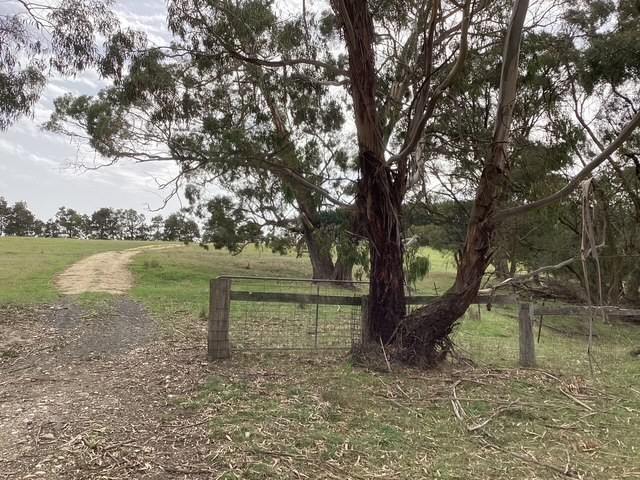 236 Morrisons Lane, Korobeit For Sale by Farmbuy.com - image 7