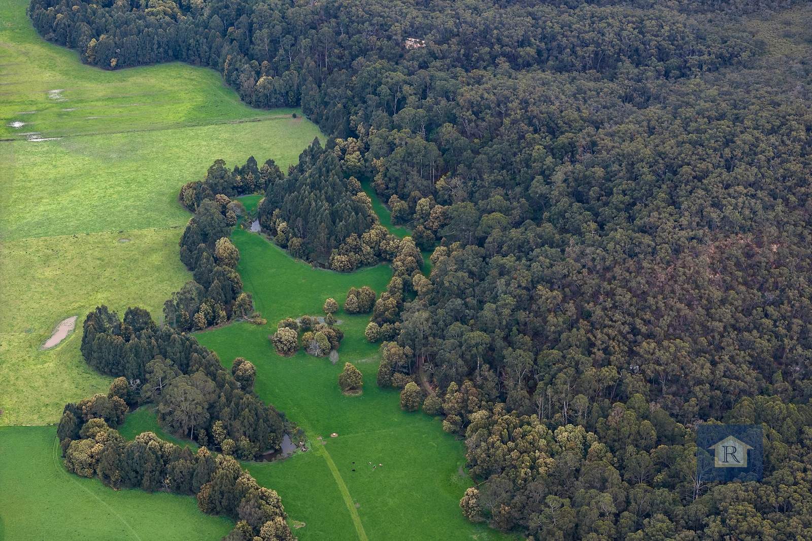 845 Pipeline Road, Carlisle River For Sale by Farmbuy.com - image 2