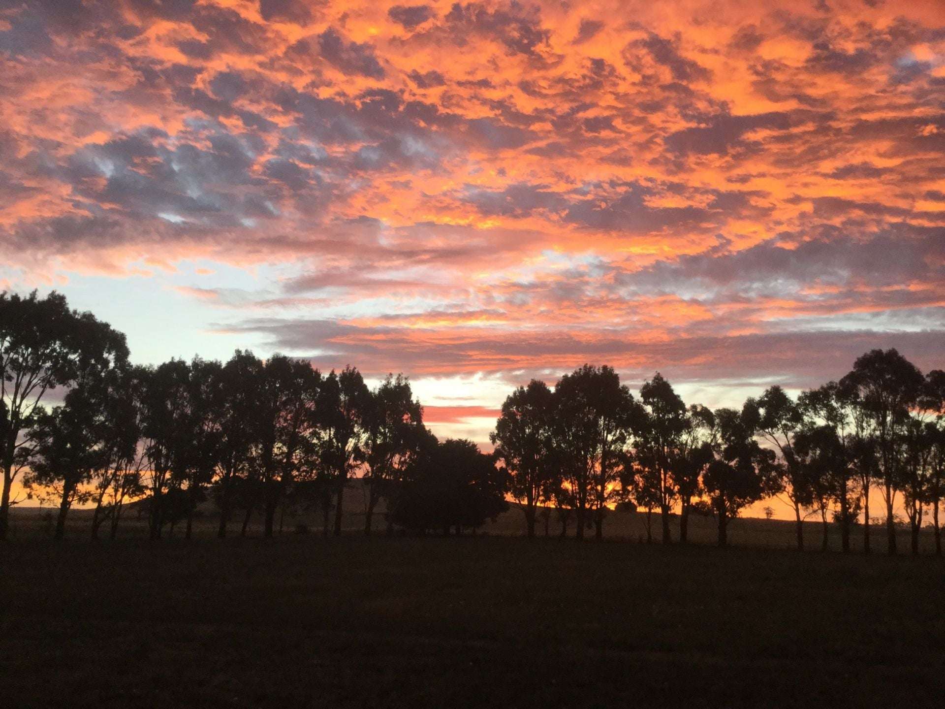 25 McMahons Road, Glenlyon For Sale by Farmbuy.com - image 25