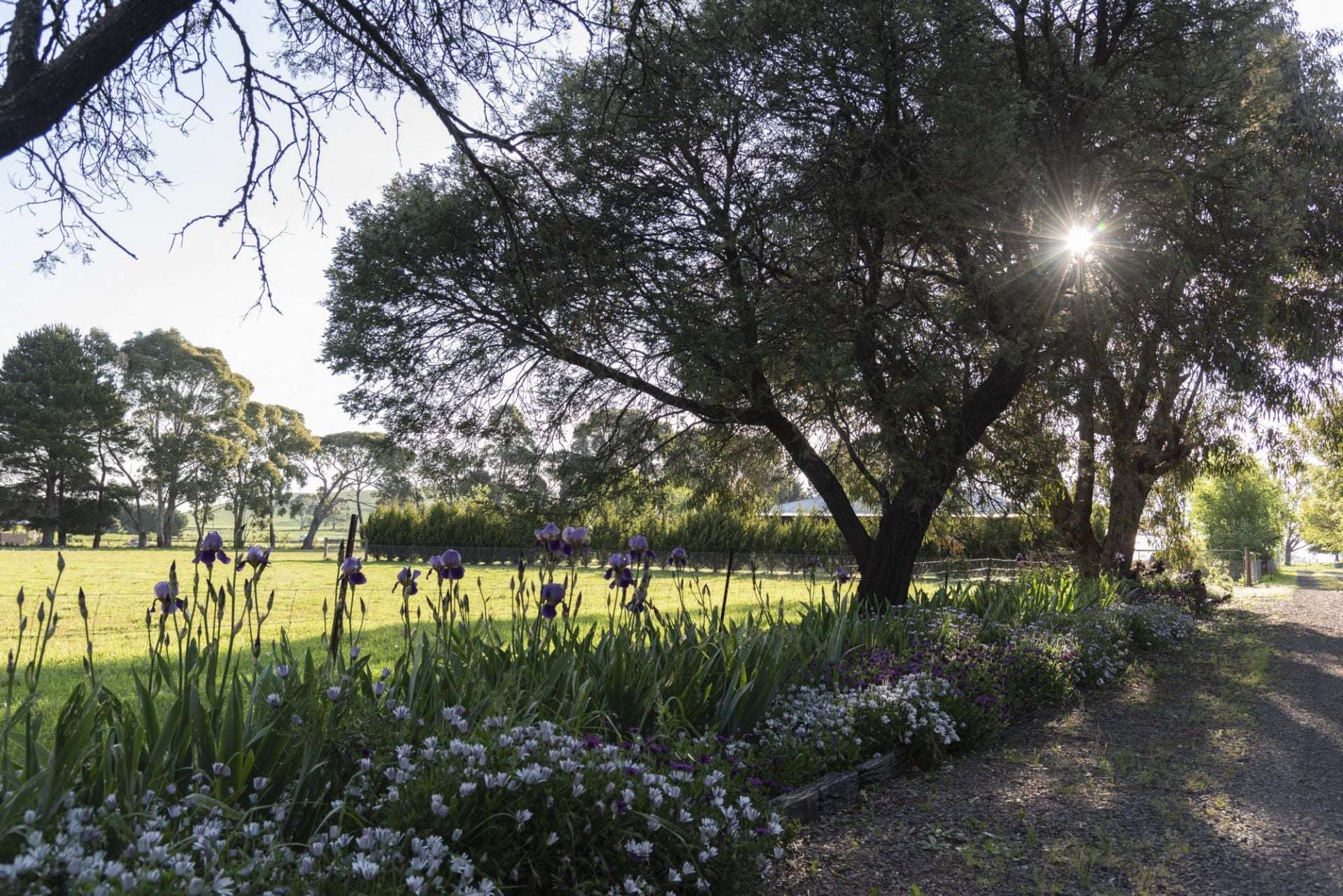 25 McMahons Road, Glenlyon For Sale by Farmbuy.com - image 19