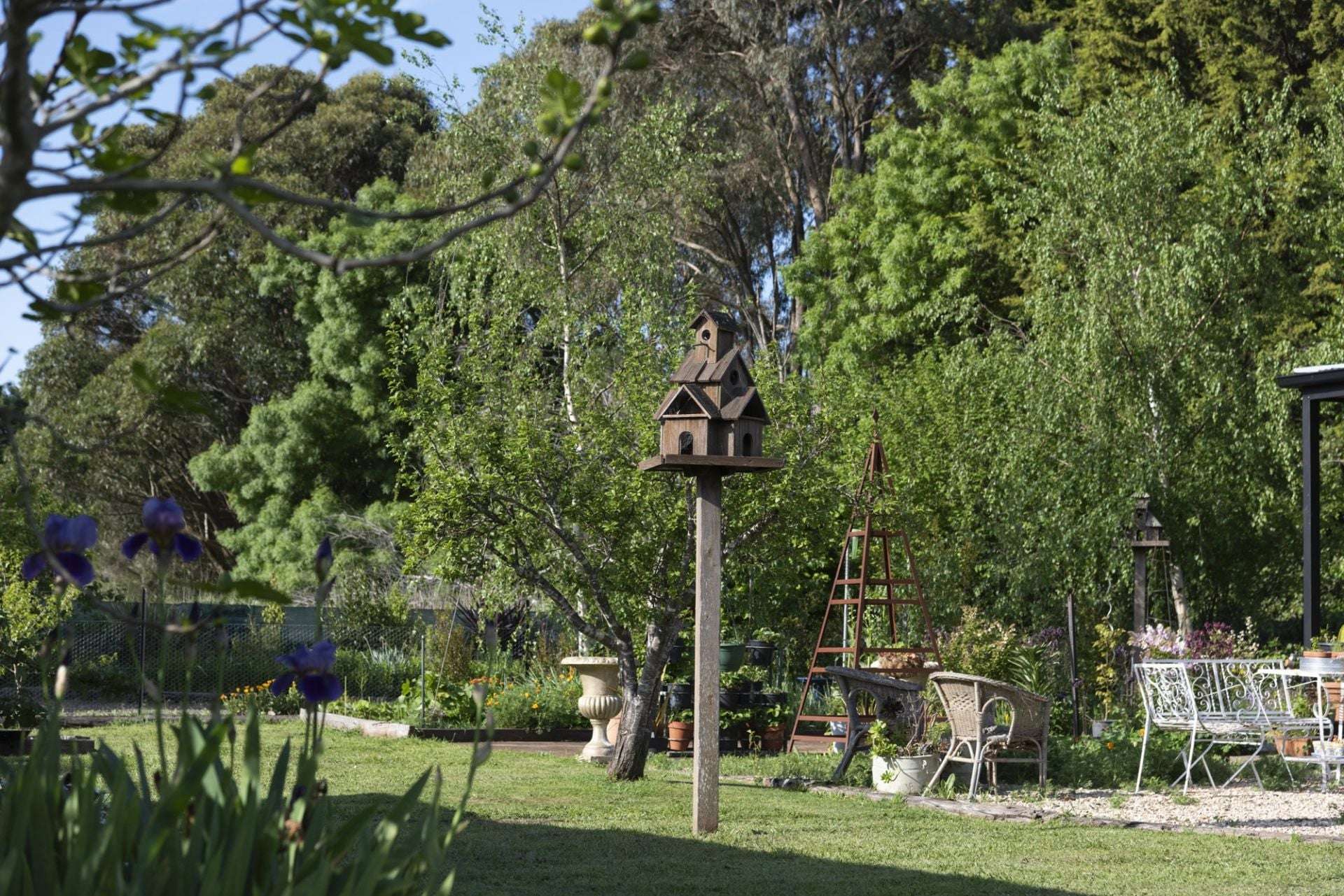 25 McMahons Road, Glenlyon For Sale by Farmbuy.com - image 18