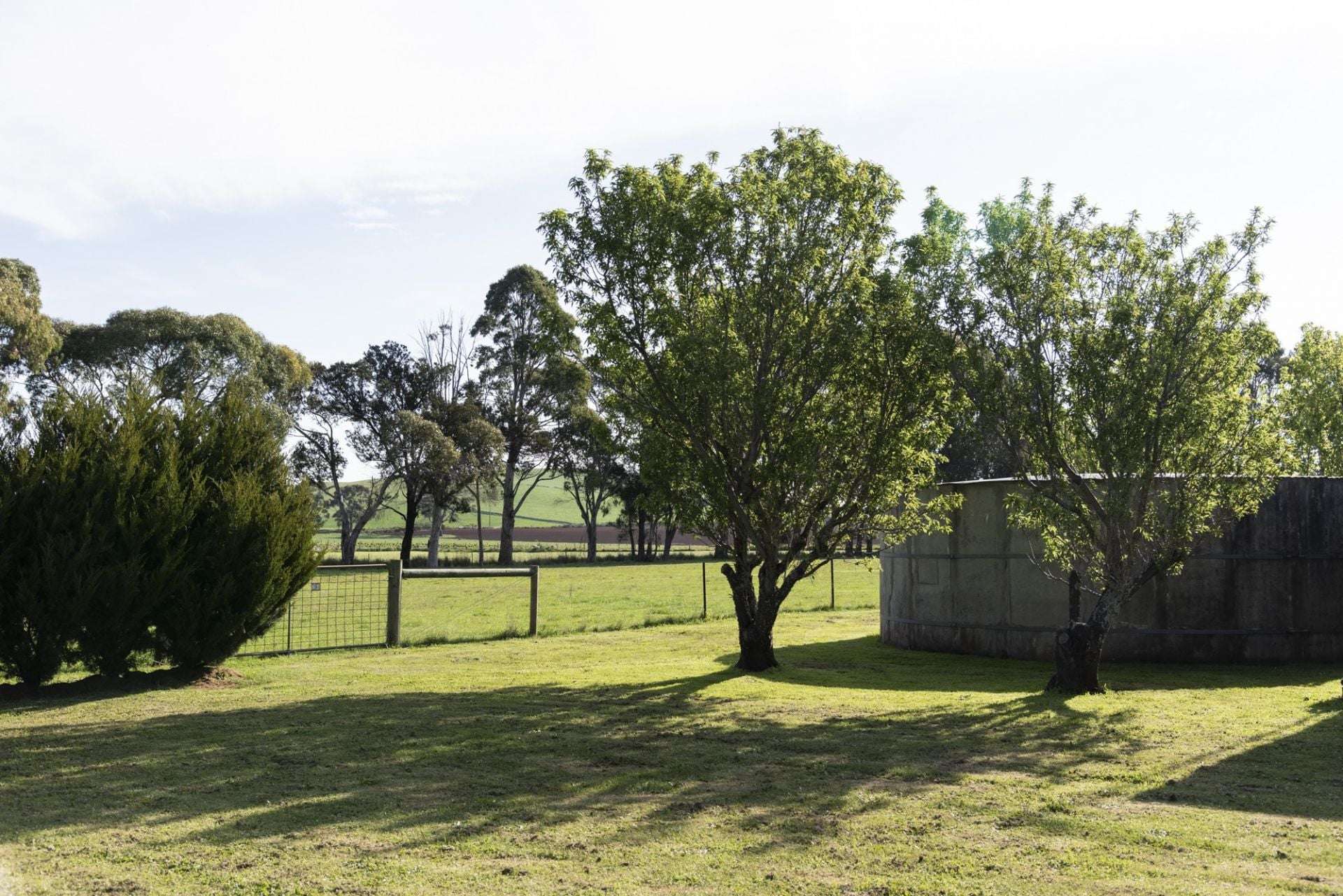 25 McMahons Road, Glenlyon For Sale by Farmbuy.com - image 23